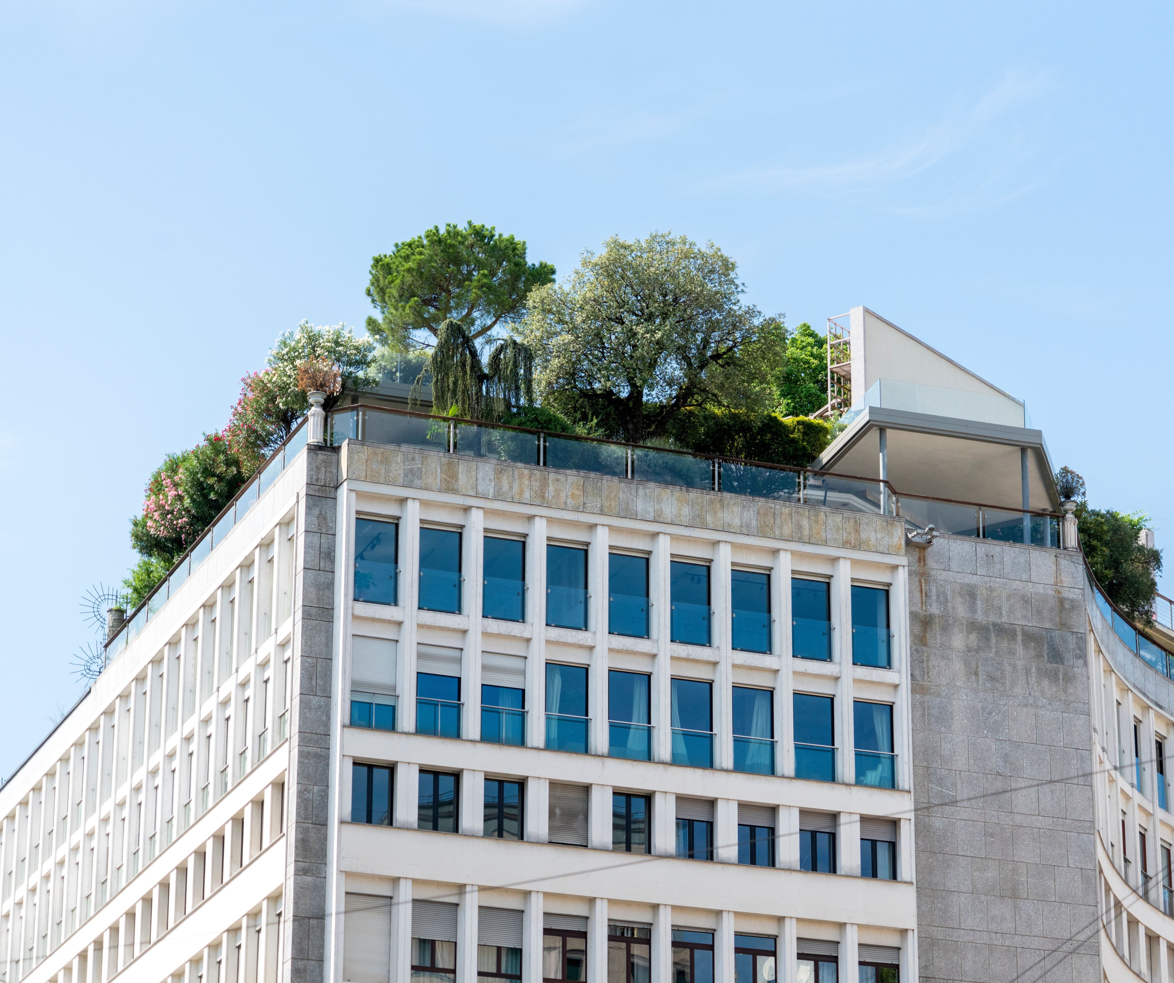 Dachbegrünung im Unternehmen: Vom Nachhaltigkeitsziel zur geprüften Standortentscheidung